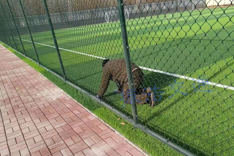 حصار ورزشگاه